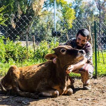 Robin: Organic Farm Owner – Peepal Farm, Dhanotu, Himachal Pradesh