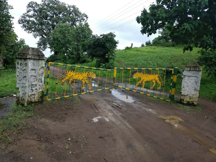 Ganeshgiri Goswamy | Melghat Tiger Reserve Guide